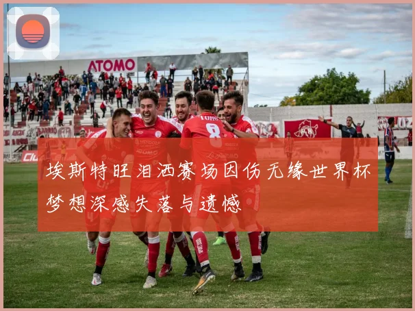 埃斯特旺泪洒赛场因伤无缘世界杯梦想深感失落与遗憾