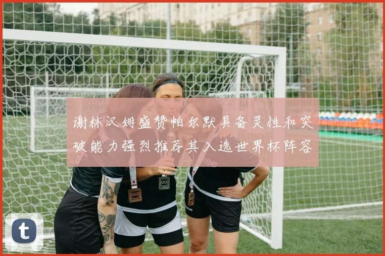 谢林汉姆盛赞帕尔默具备灵性和突破能力强烈推荐其入选世界杯阵容