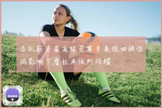 各队薪资最高球员赛季表现回顾伤病影响下詹杜库依然闪耀